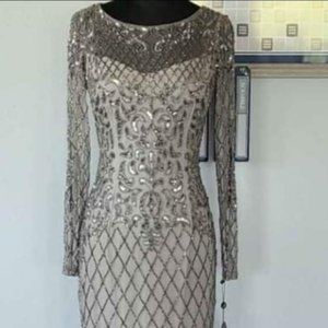 Silver Long Adrianna Papell Size 6